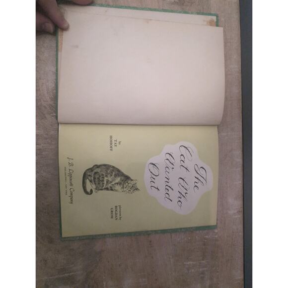 The Cat Who Wanted Out by Tay Hohoff, Ex-Library, 1959 Hardcover, Vintage Novel - Picture 5 of 6